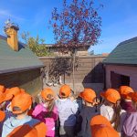 viber_slika_2025-10-17_21-06-14-259