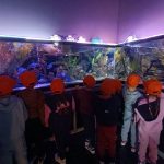 viber_slika_2025-10-17_21-06-14-407